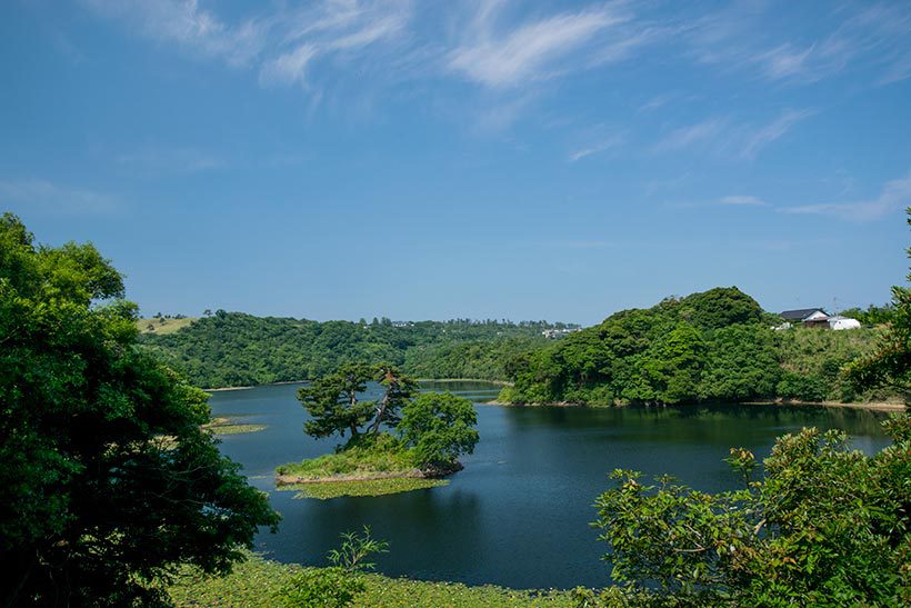  多鯰ケ池